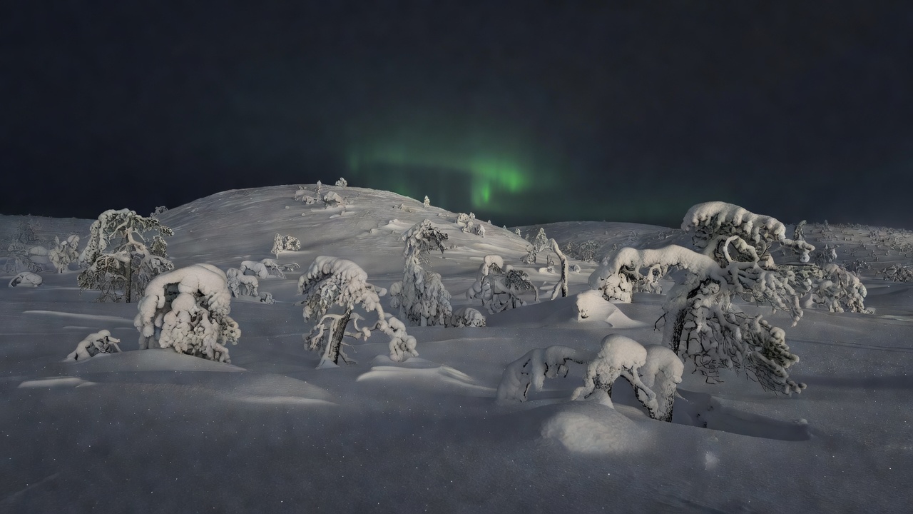 Snow-laden trees on a rounded fell near Saariselkä at night with a soft green aurora glowing above the horizon
